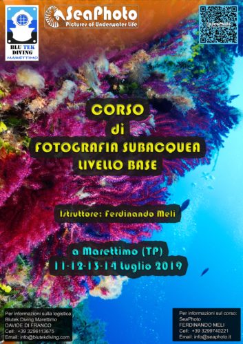 corso fotografia subacquea